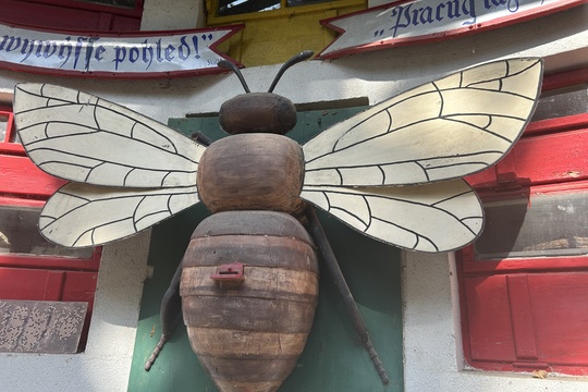 Výlet do včelárskeho múzea v Kráľovej pri Senci 1