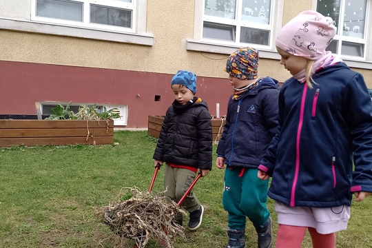 Zelený detský svet: Materská škola Medňanského a Skutočne zdravá škola 1