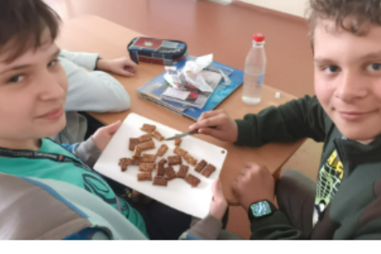 • WORKSHOP ZO SKUTOČNE ZDRAVEJ ŠKOLY . 1