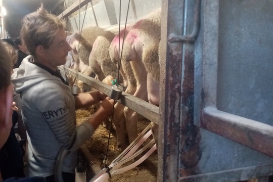 Návšteva farmy u Keľovcov vo Veľkých Teriakovciach, okres Rimavská Sobota 1